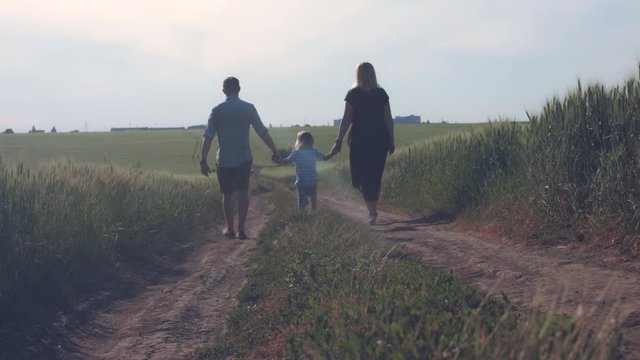 4k Family Walking on Road between Wheat Fields