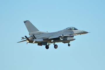 Fototapeta na wymiar F-16 Fighter Plane
