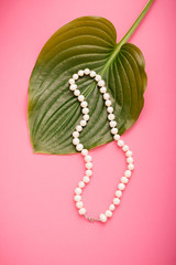 colors colorful paper background, macro photography, close up, product photography, jewelry,