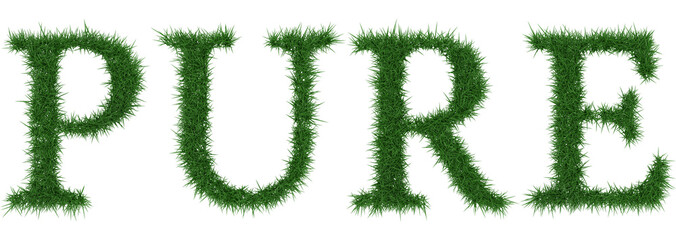 Pure - 3D rendering fresh Grass letters isolated on whhite background.