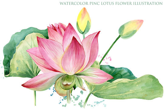 pink lotus border. watercolor botanical illustration.