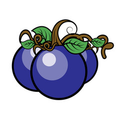 Blue Vector Cherries - clip-art vector illustration