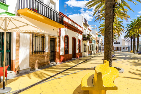 Paseo de las Palmeras