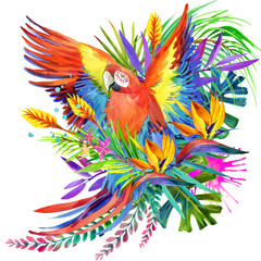 parrot bird watercolor illustration. tropical flower background. paradise nature. T-shirt design