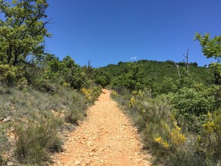 Sentier de randonnée en Provence