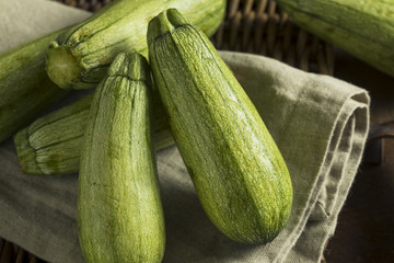 Green Speckled Organic Mexican Squash