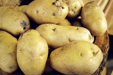 Raw potato food . Potatoes in an old wooden table