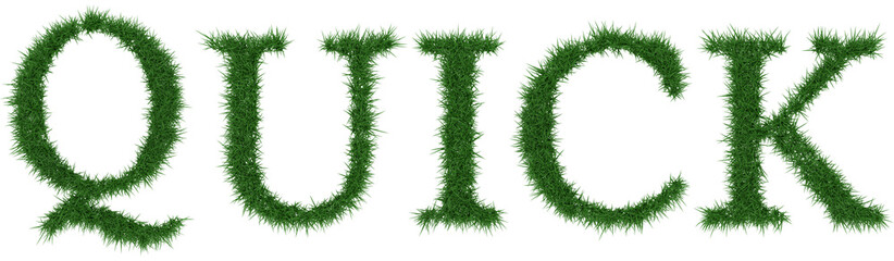 Quick - 3D rendering fresh Grass letters isolated on whhite background.