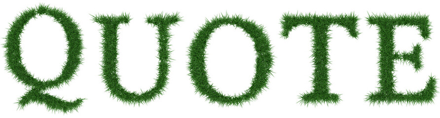 Quote - 3D rendering fresh Grass letters isolated on whhite background.