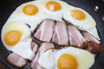 Fried eggs and bacon in pan