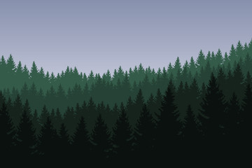 Vector illustration of coniferous forest with green trees in several layers under a gray sky