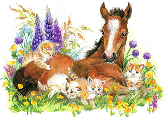 cute Horse. Pet animal on flowering meadow background. foal illustration watercolor © Елена Фаенкова