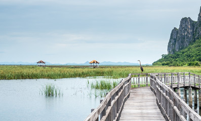 Lotus pond with wooden bridge