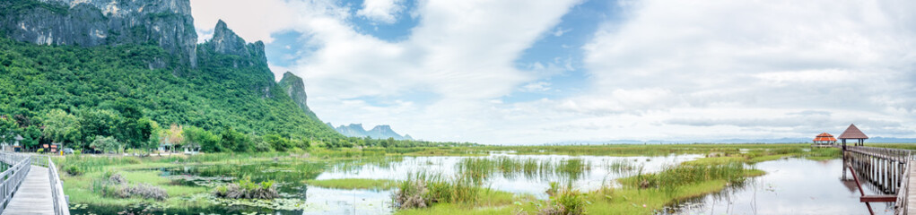 Fototapeta na wymiar Panoramic view of lotus pond