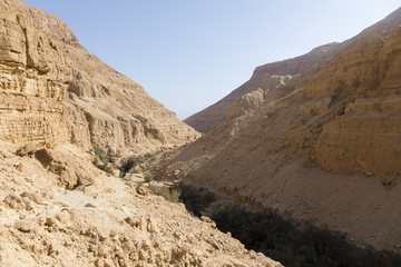 Fototapeta na wymiar Wadi Arugot River, ein Gedi nature reserve, dead sea, Israel