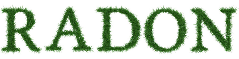 Radon - 3D rendering fresh Grass letters isolated on whhite background.