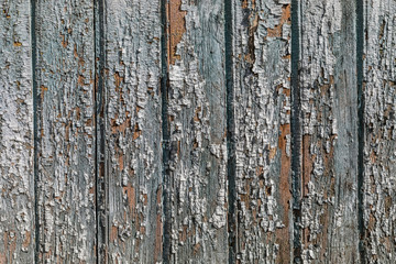 Rustic wood texture with natural patterns surface as background