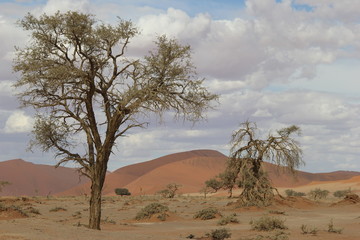 Naklejka na ściany i meble Namibia 