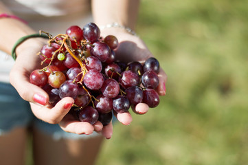 Holding grapes