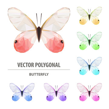 Vector polygonal butterfly. Low poly insect illustration. Triangle color animal image.