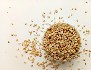 Sesame Seeds