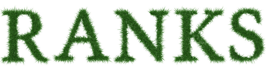 Ranks - 3D rendering fresh Grass letters isolated on whhite background.
