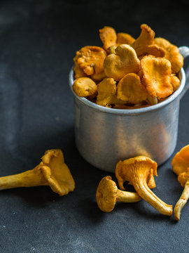 fresh chanterelles in a metal mug on a dark background. Composition with wild mushrooms. copy space