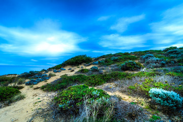 Fototapeta na wymiar オーストラリア パース コッテスロービーチ cottesloe beach