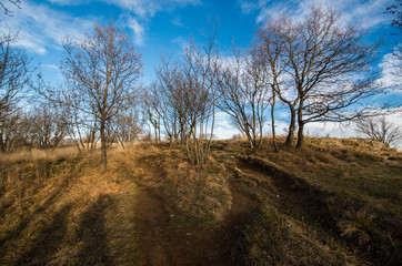 Obraz premium bismantova