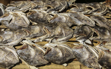 Dried fish in the market, Myanmar (Burma)