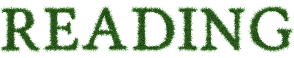 Reading - 3D rendering fresh Grass letters isolated on whhite background.