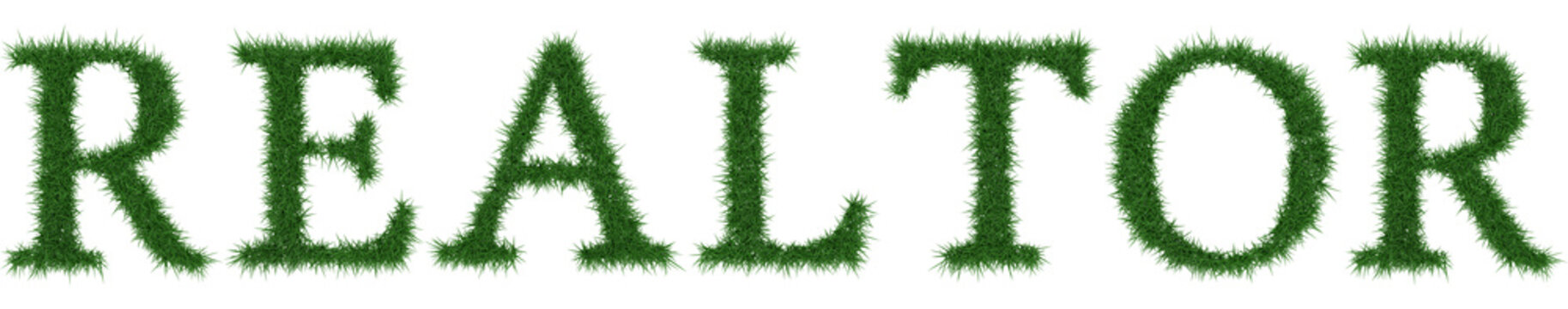Realtor - 3D rendering fresh Grass letters isolated on whhite background.