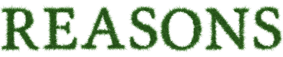 Reasons - 3D rendering fresh Grass letters isolated on whhite background.