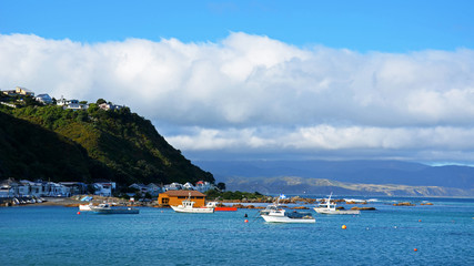 Fototapeta na wymiar Small harbor around Wellington