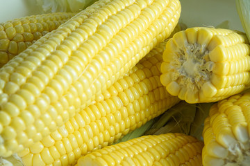 Sweet corn, sweet yellow corn, fresh corn