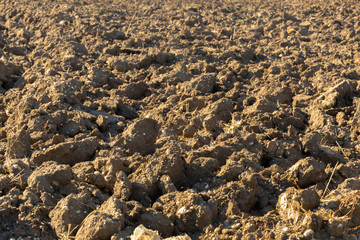 Earth in a field for agricultural cultivations