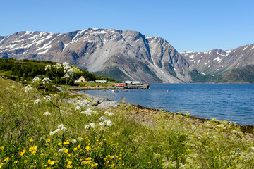 Beautiful summer day in Finnmark - obrazy, fototapety, plakaty