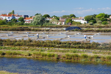 marais salant 