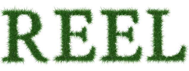 Reel - 3D rendering fresh Grass letters isolated on whhite background.