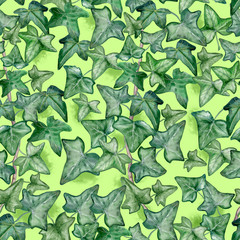 Ivy leaves. Watercolor painting, seamless pattern on a green background. Illustration