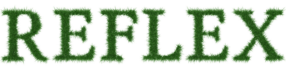 Reflex - 3D rendering fresh Grass letters isolated on whhite background.