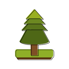 pine tree on piece of green land icon image vector illustration design 