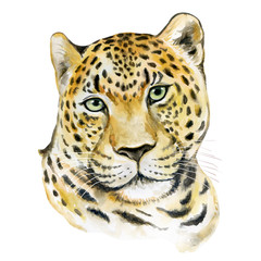 Leopard isolated on white background. Watercolor. Illustration. Template. Portrait