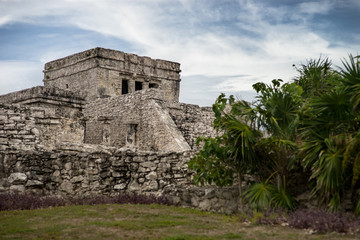 Fototapeta na wymiar Tulum Mayan Ruins Mexico with a palm foreground. 2017