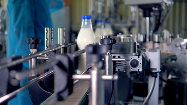 A fast sequence of full milk bottles fetched after production.    