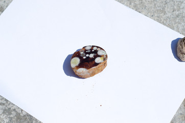 Food fungus coffe