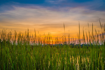 Fototapeta premium colorful sky at sunset on the lake landscape
