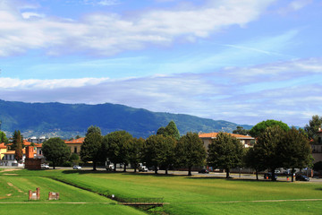 View of the green field near the road.