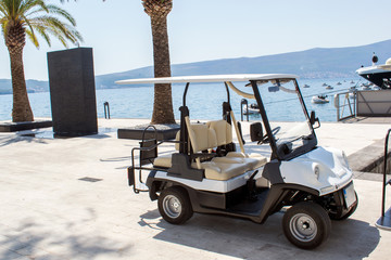 Golf cart parked on the dock by the sea - 171793588