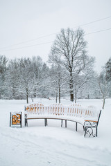 Snowy trees